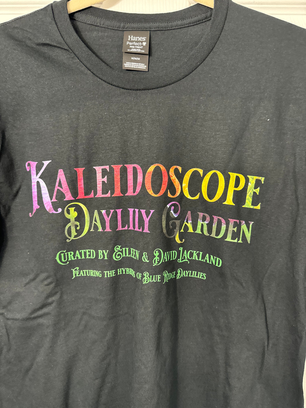 Short sleeve Hanes® cotton t-shirt with full color logo print